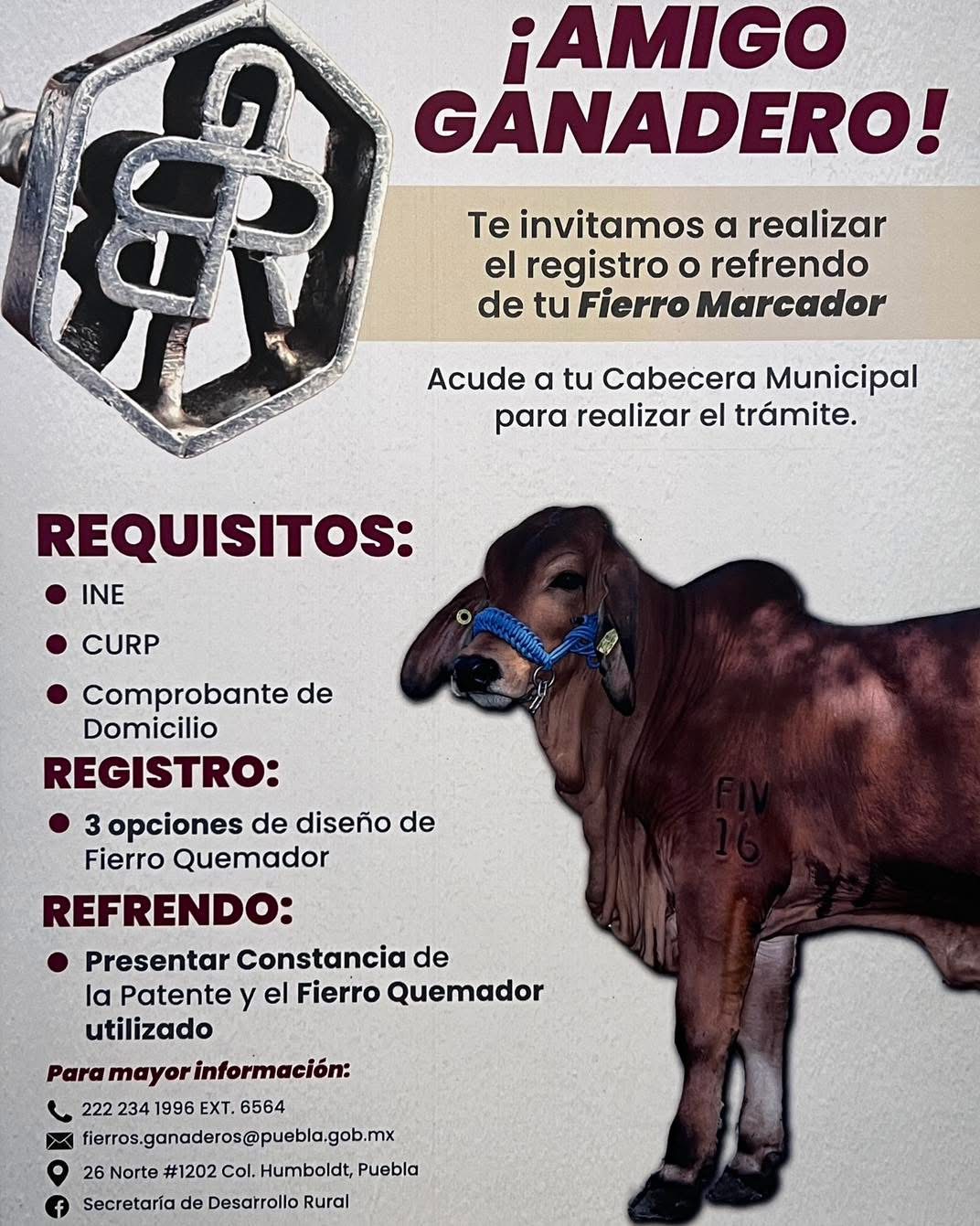 Fierro Marcador