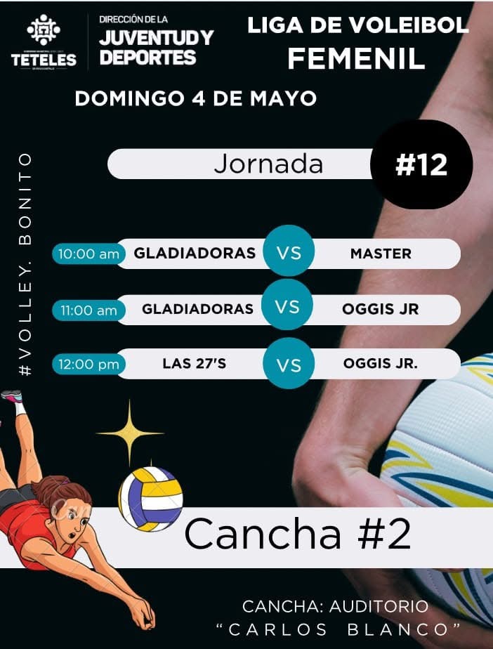 Liga de voleibol