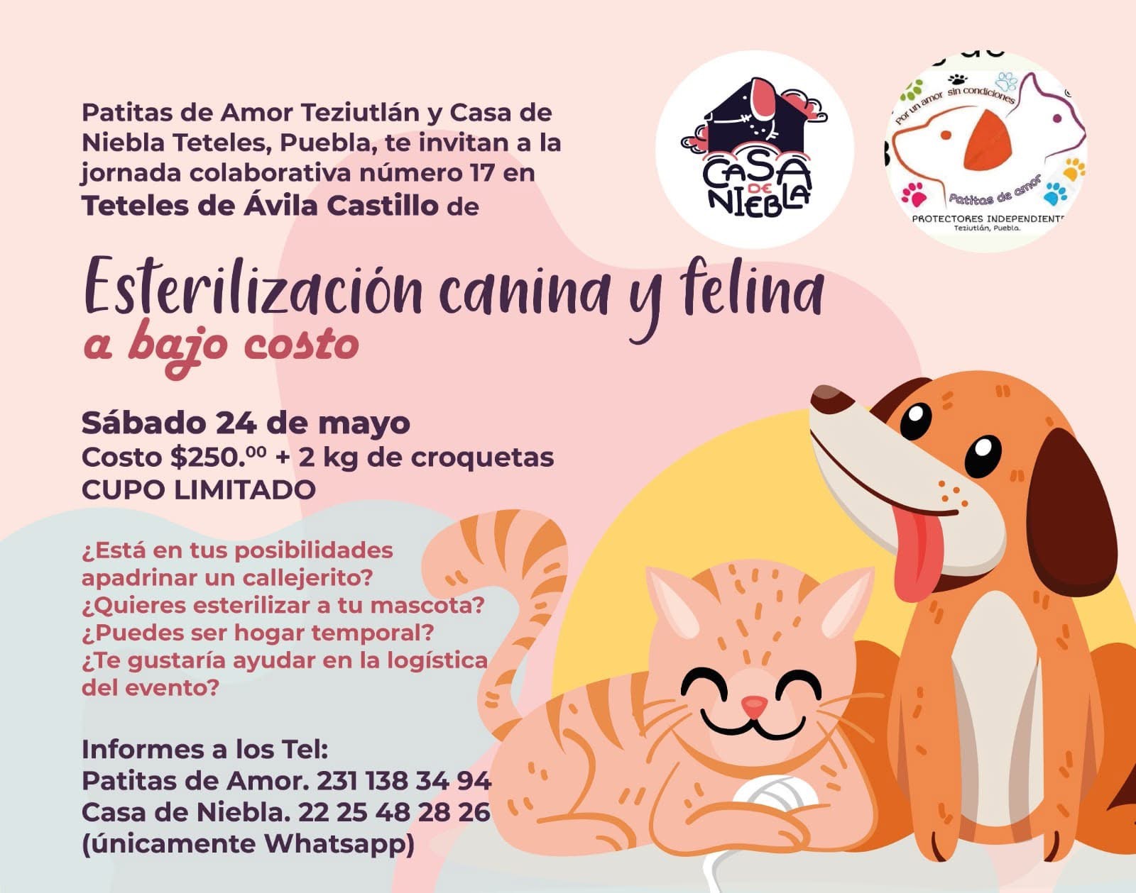 Esterilización 