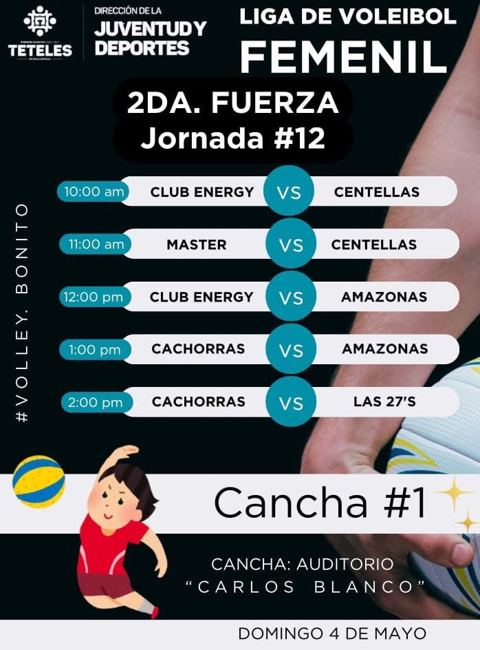 Liga de voleibol 